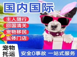 梧州西江航空邮寄国际宠物托运 【国